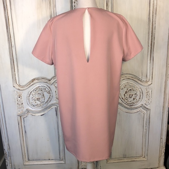 AEL Amy Enjoy Life Minimalist Short Sleeved Deep V Neck Full Cut Sheath Dress - Picture 8 of 9